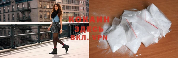 соль ск Шали