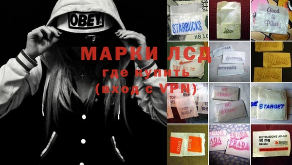 дмт Шадринск