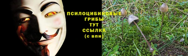 метадон Россошь