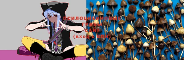 мдпв Михайлов